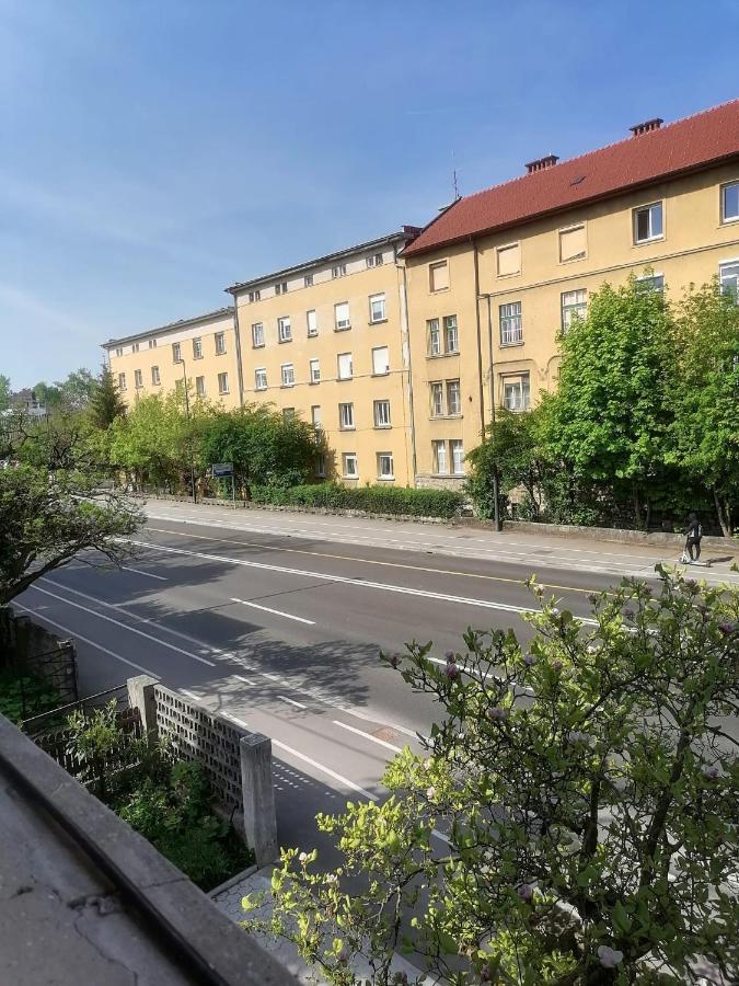 Pirc Apartment On Dunajska Street Ljubljana Eksteriør bilde