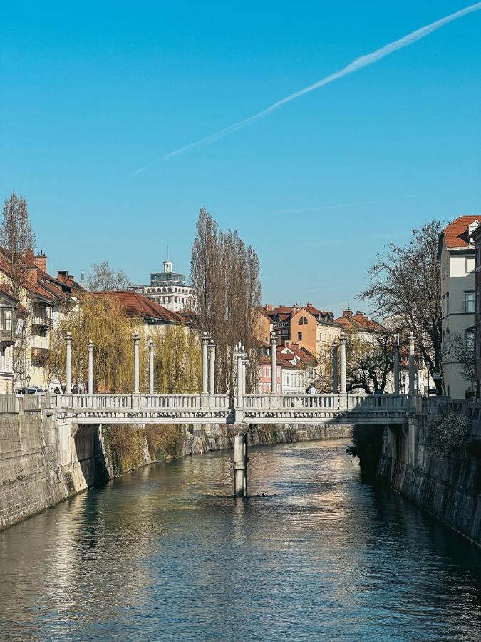 Pirc Apartment On Dunajska Street Ljubljana Eksteriør bilde